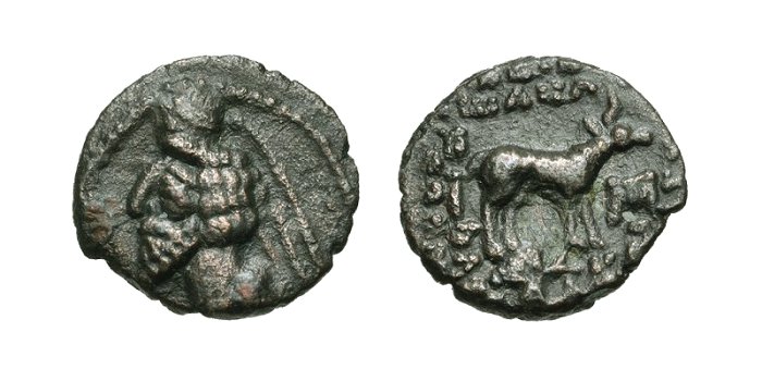 S.51.53